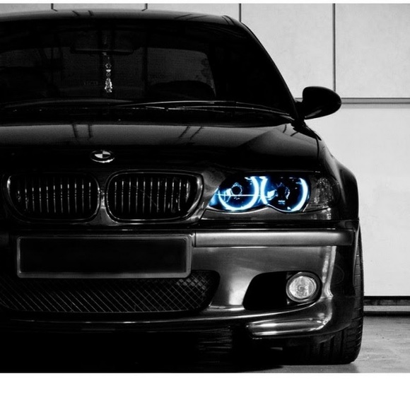 Meet your Posher, Zackery - Picture 1 of 1